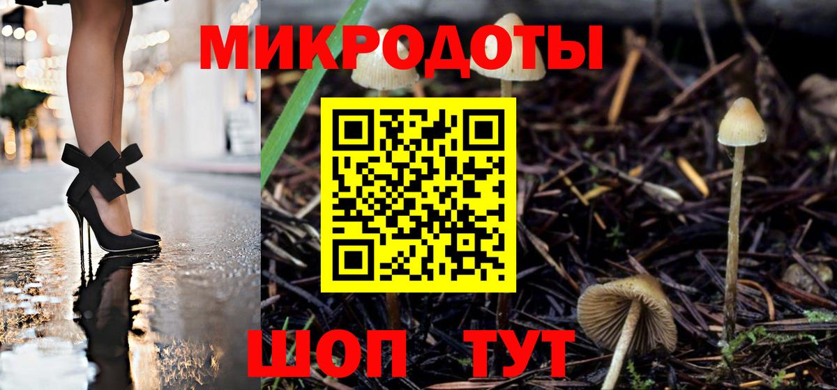 Псилоцибиновые грибы Cubensis Изобильный